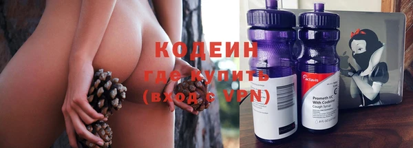 стаф Ростов