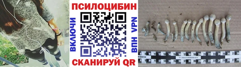 Галлюциногенные грибы ЛСД  Сычёвка 